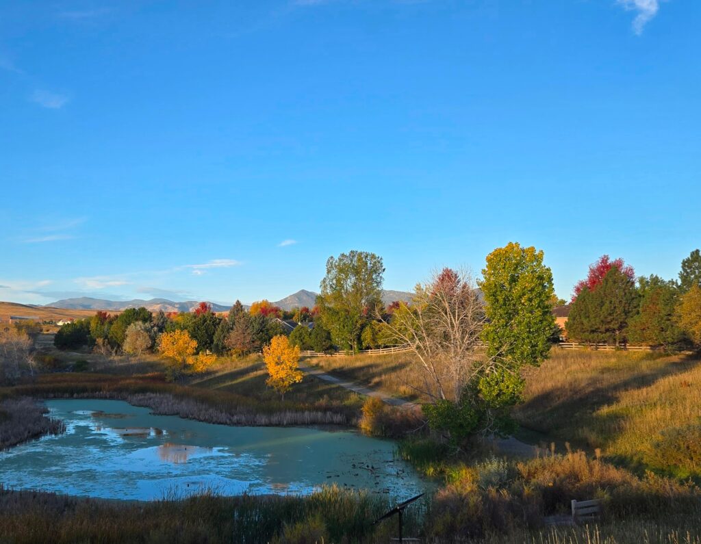 sunlight through autumn leaves-finding peace in everyday moments