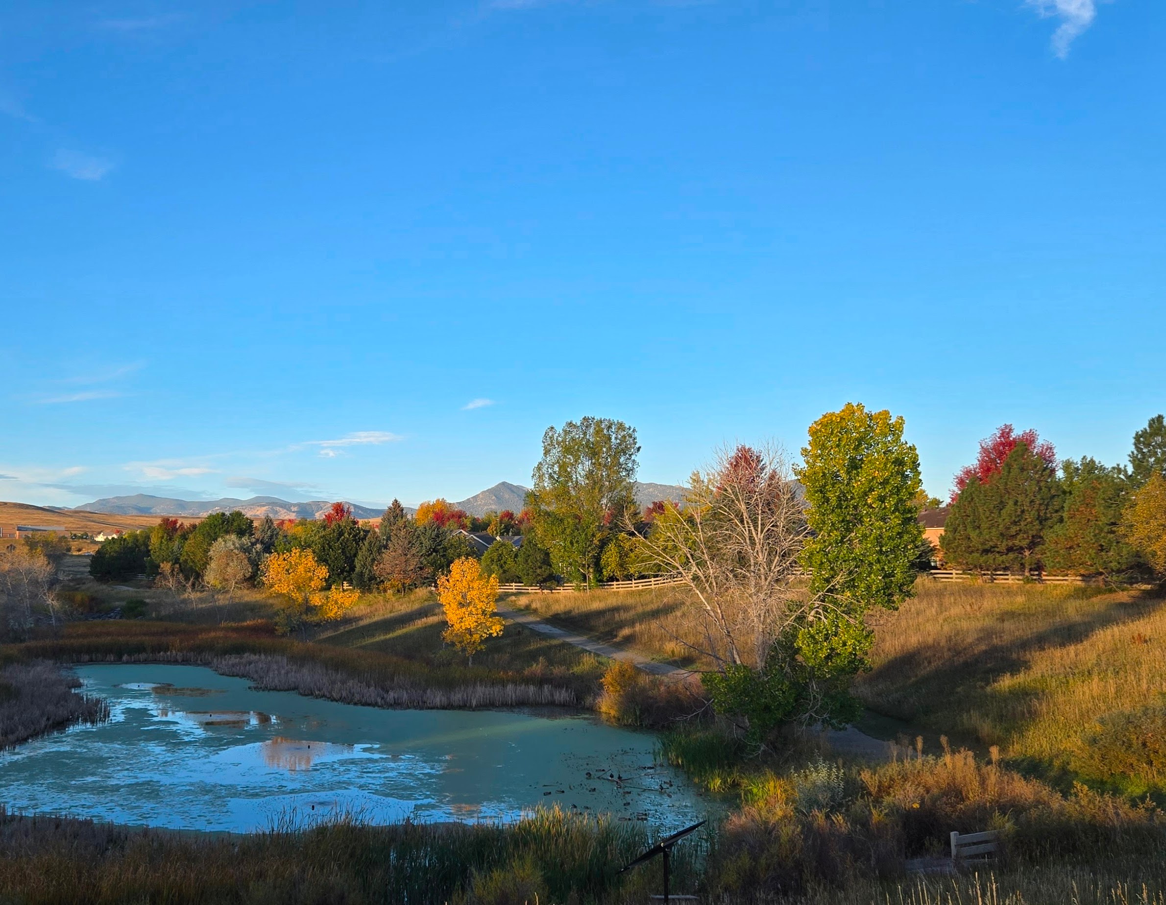 sunlight through autumn leaves-finding peace in everyday moments