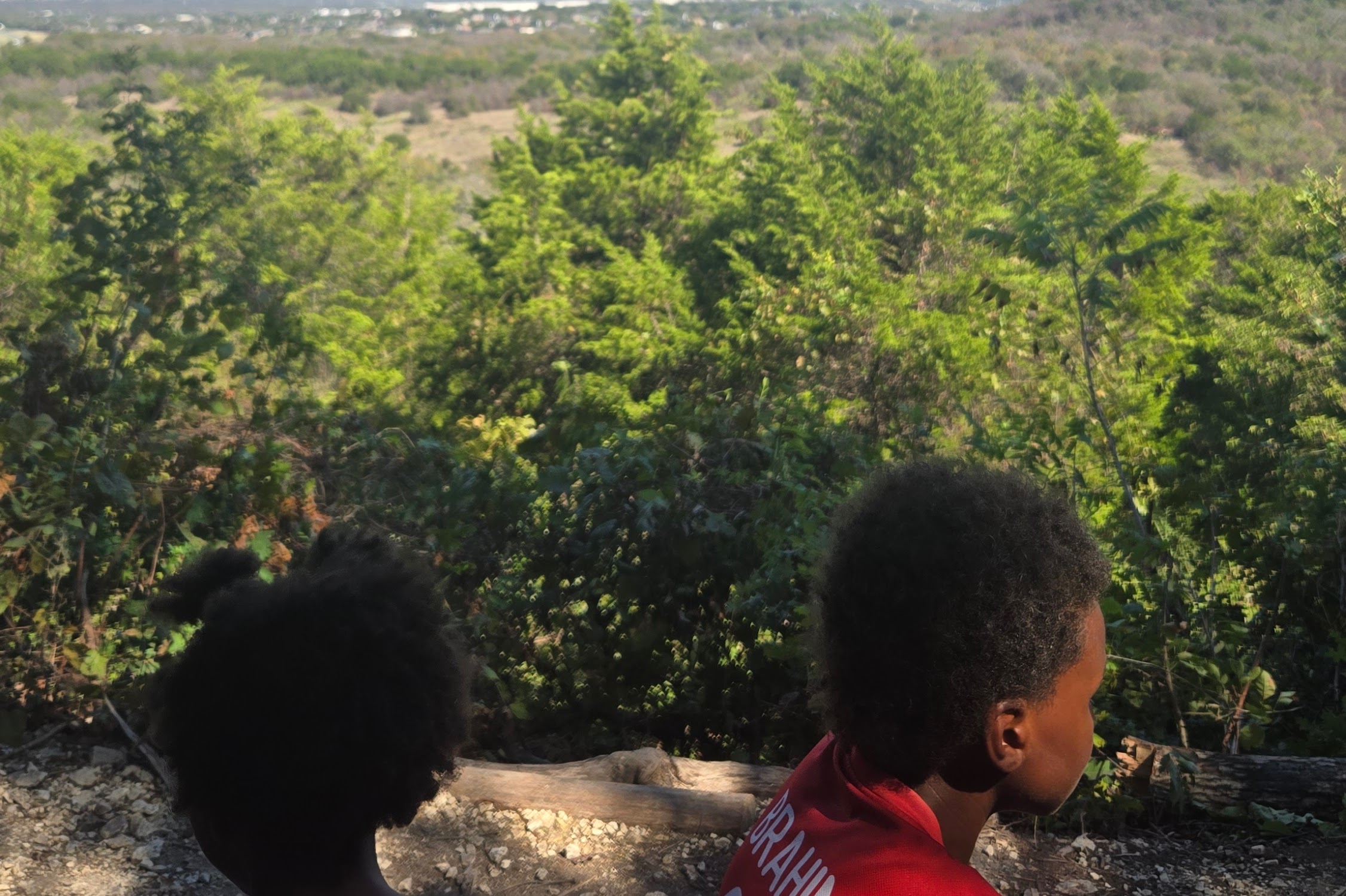 kids looking out at the overlook at Cedar Ridge Preserve in Dallas during fall break